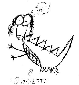 shoette.jpg (33585 bytes)